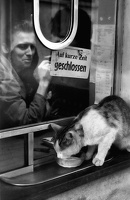 Beobachtung 1972