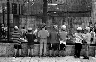 auf dem Spielplatz