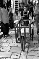 junger Transporteur